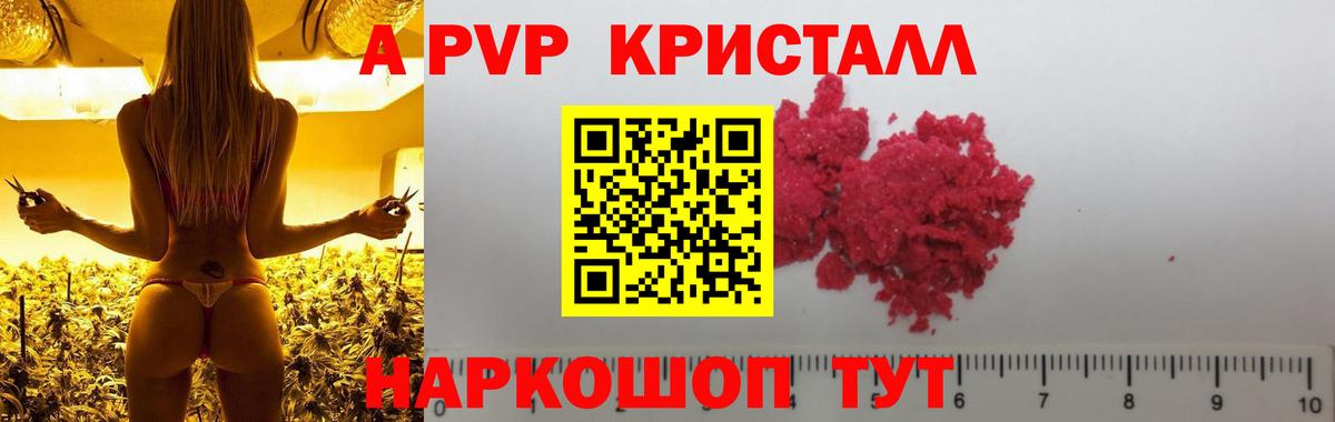 APVP СК Зима