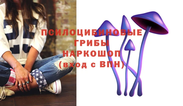 кристаллы Няндома