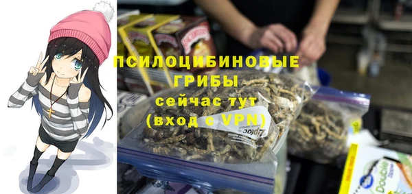 хмурый Нязепетровск