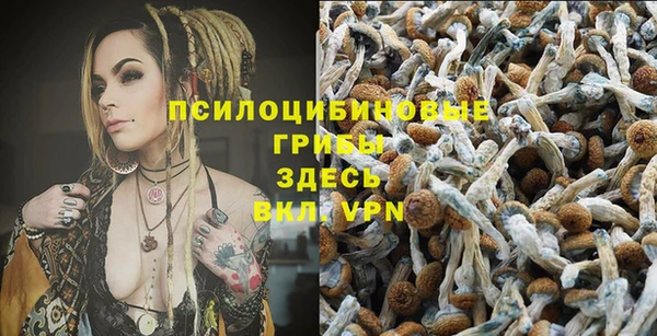 MESCALINE Нягань
