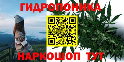 кокс Волгодонск