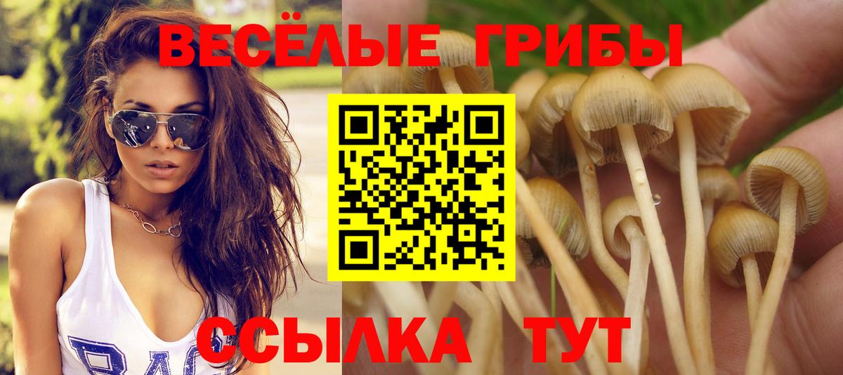 Галлюциногенные грибы прущие грибы  дарнет шоп  Зима 