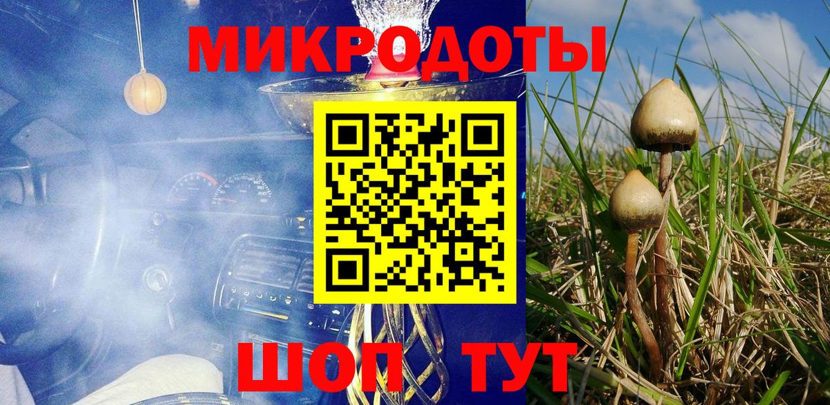 Зима  Галлюциногенные грибы прущие грибы  Вход с VPN 
