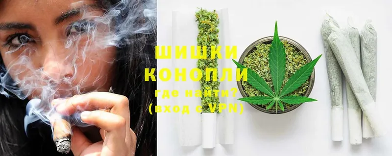 Каннабис OG Kush  Зима 