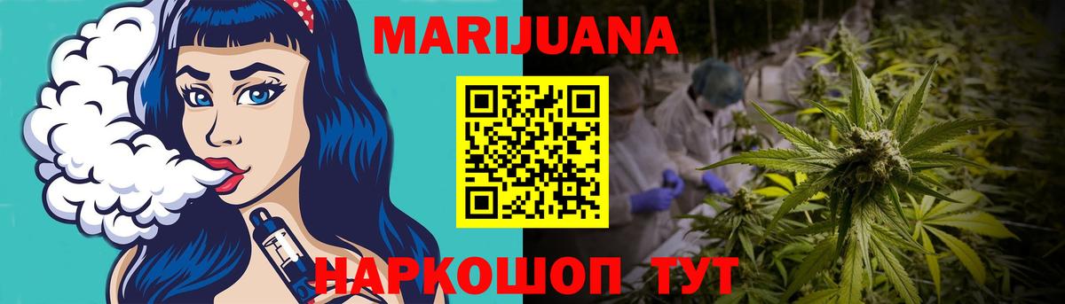Конопля SATIVA & INDICA  Бошки Шишки семена  Зима  Вход с VPN  Канабис SATIVA & INDICA  Бошки Шишки сатива 